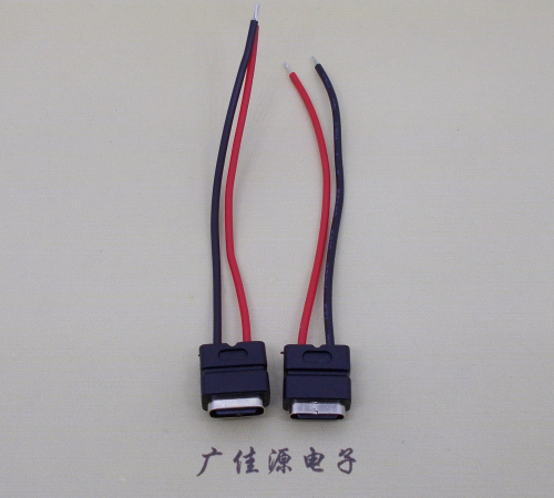 三水type c2p防水母座焊线式带线注塑成型带接线端子/不带接线端子充电连接器