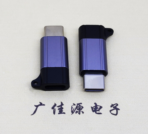 三水Type-C母转Type-C公 USB3.1 PD100W快冲接口